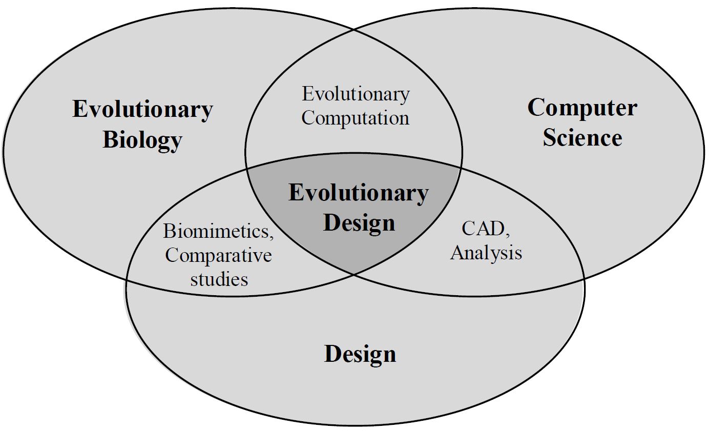 From Optimisation to Generation: Evolutionary processes in ...